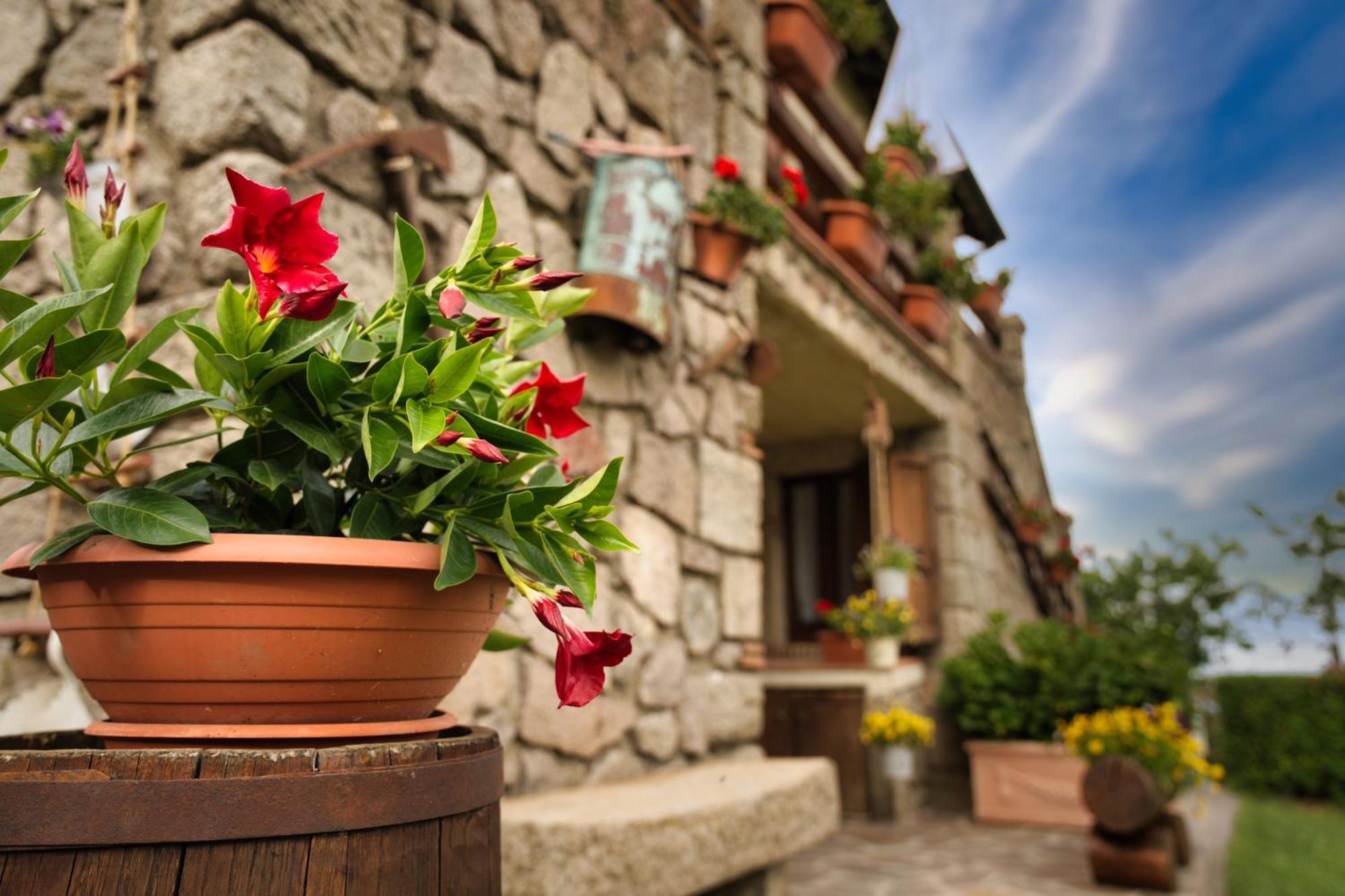 Agriturismo Biagiotti Аббадиа Сан Сальваторе Экстерьер фото